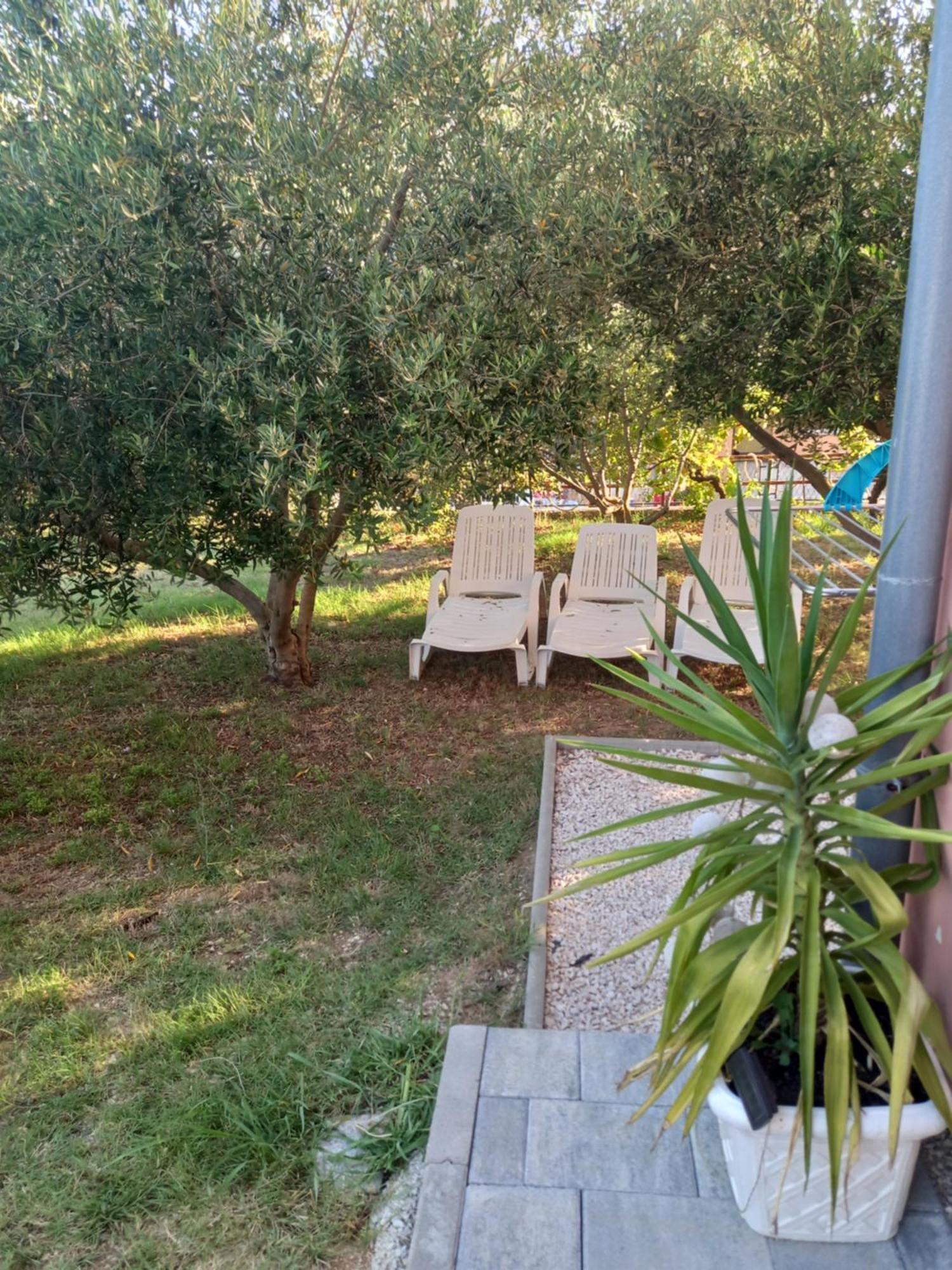 Dani Appartement *