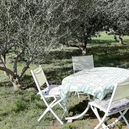 Appartement Dani à Zadar Extérieur photo