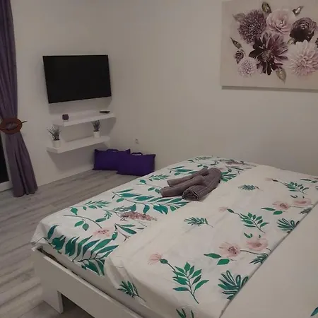 Appartement Dani à Zadar Extérieur photo
