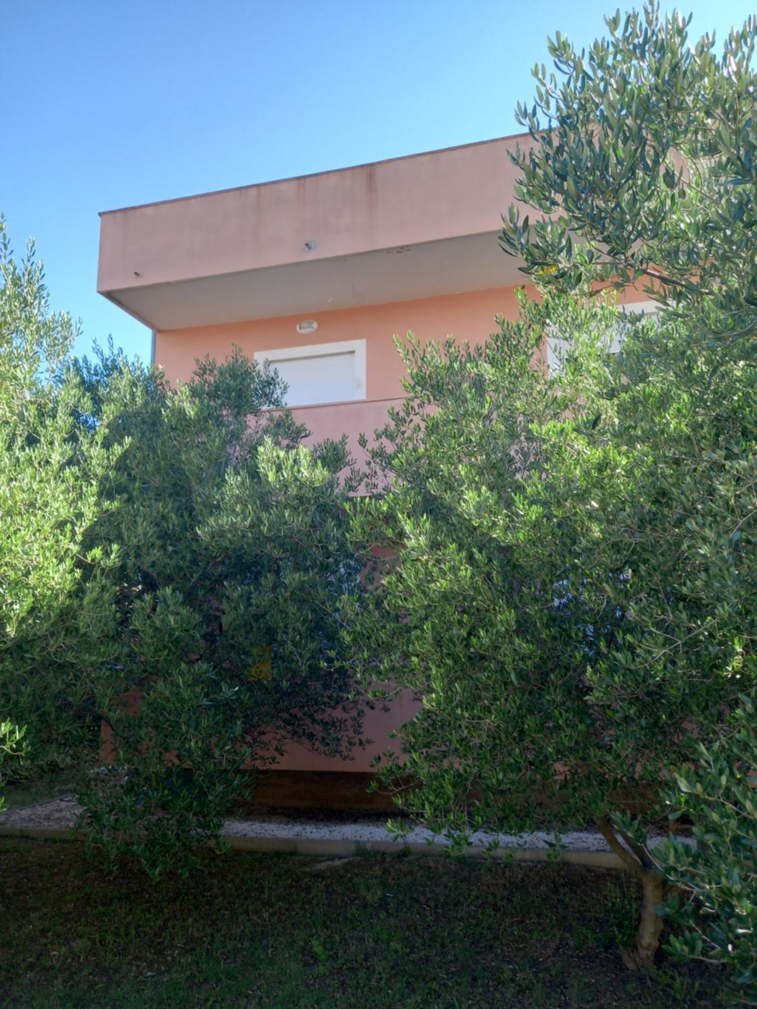 Dani Apartmán *